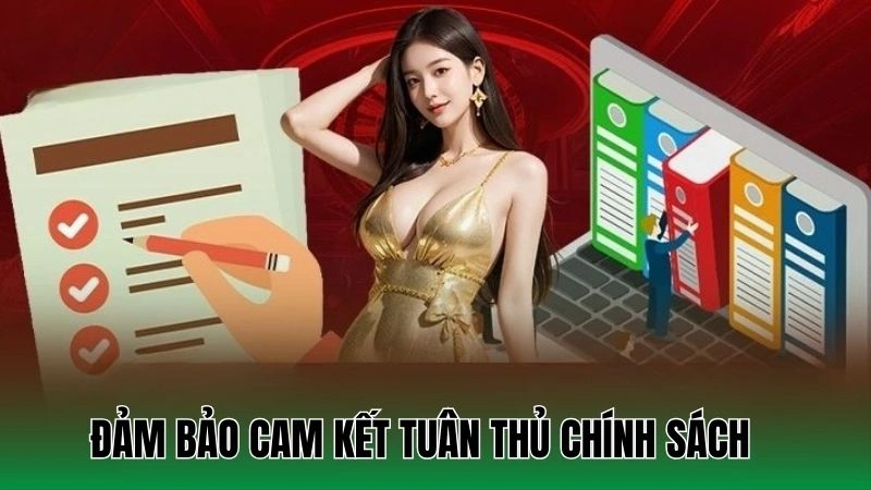 Cam kết tuân thủ điều khoản