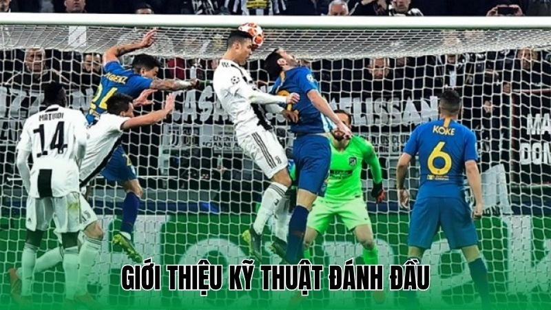 Giới thiệu kỹ thuật đánh đầu