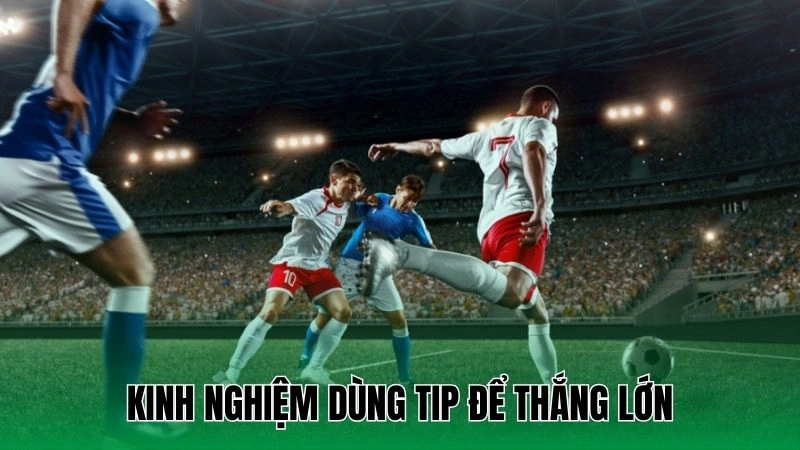 Kinh nghiệm dùng tip để thắng lớn